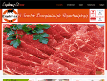 Tablet Screenshot of eryilmazet.com